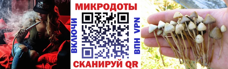 Галлюциногенные грибы мухоморы  Гулькевичи 